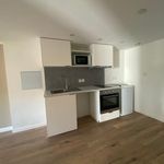 Rent 2 bedroom apartment of 32 m² in Mazamet
