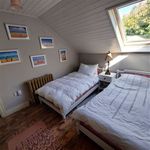 Rent 3 bedroom house in Cork