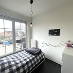 Rent 2 bedroom apartment of 84 m² in Berlaar