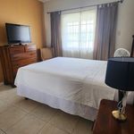 Rent 1 bedroom apartment of 625 m² in Kingston