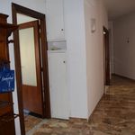 Rent 4 bedroom apartment of 80 m² in Cassino