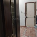 Rent 4 bedroom apartment of 118 m² in Catania