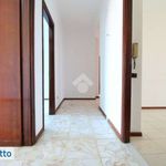 Rent 4 bedroom apartment of 116 m² in Catania