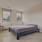 Rent 4 bedroom house of 167 m² in Sprundel
