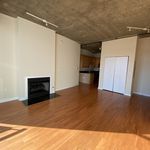 Rent 1 bedroom apartment of 733 m² in Chicago