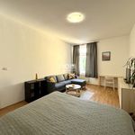 Rent 1 bedroom apartment of 55 m² in Číhošť