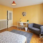 Louez une chambre de 100 m² à Strasbourg