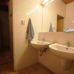 Rent 1 bedroom apartment of 50 m² in Vranov