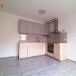 Rent 1 bedroom apartment of 42 m² in Pilsen