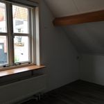 Rent 2 bedroom apartment of 54 m² in Schoonhoven