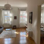 Rent 2 bedroom apartment of 55 m² in Berlin
