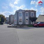 Rent 1 bedroom apartment of 48 m² in Prostějov