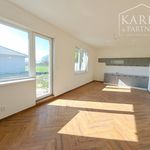 Rent 1 bedroom apartment of 540 m² in Brno