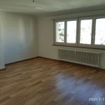Miete 1 Schlafzimmer wohnung von 28 m² in Allschwil