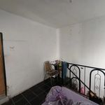 Rent 7 bedroom house of 145 m² in Juárez