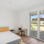 Rent a room of 69 m² in Graz
