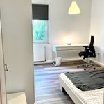 Rent 2 bedroom apartment of 50 m² in Wuppertal