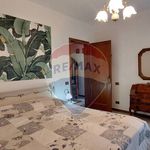 Affitto 5 camera casa di 122 m² in Camaiore