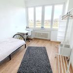 Rent a room in Etterbeek