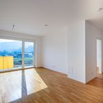 Rent 2 bedroom apartment of 54 m² in Gresten