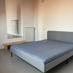 Rent 1 bedroom apartment in Cinisello Balsamo