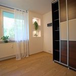 Rent 1 bedroom apartment of 20 m² in Zabrze