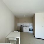 Rent 1 bedroom apartment of 31 m² in Avize
