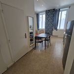Rent 1 bedroom apartment of 28 m² in Saint-Étienne