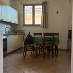 Rent 3 bedroom apartment of 70 m² in Frosinone