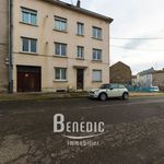 Rent 2 bedroom apartment of 53 m² in Boulay-Moselle