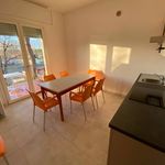 Rent 3 bedroom apartment of 55 m² in Cervia