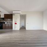 Rent 2 bedroom apartment of 79 m² in Long Beach