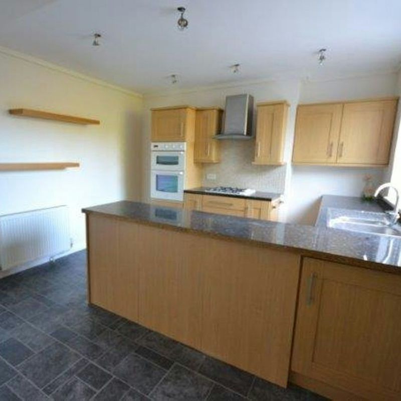3 Bedroom Property For Rent in Leicester - £1,100 pcm West Knighton
