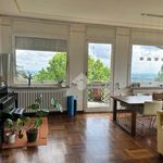 Rent 5 bedroom apartment of 181 m² in Pecetto Torinese
