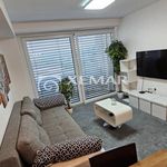 Rent 2 bedroom apartment of 52 m² in Číhošť