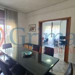 Rent 1 bedroom apartment of 150 m² in Napoli