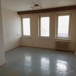 Rent 1 bedroom apartment of 46 m² in Vitkov