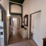Rent 4 bedroom house in Firenze
