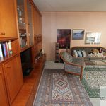 Rent 4 bedroom apartment of 110 m² in Nuremberg