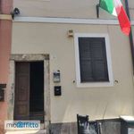 Rent 2 bedroom apartment of 50 m² in Palestrina