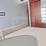 Rent 1 bedroom apartment of 85 m² in Dubai