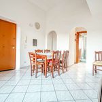 Rent 3 bedroom apartment of 70 m² in Ciampino