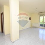 Rent 2 bedroom apartment of 98 m² in Caltagirone