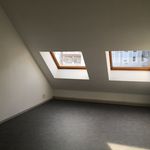 Rent 3 bedroom apartment of 60 m² in Saint-Dié