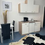 Rent 1 bedroom apartment of 27 m² in München