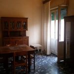 Affitto 5 camera appartamento di 120 m² in Ancona