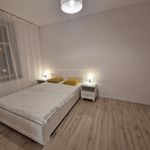 Rent 2 bedroom apartment of 34 m² in Bielawa