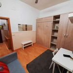 Rent 1 bedroom apartment in Segovia