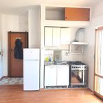 Rent 1 bedroom apartment of 35 m² in Pomezia