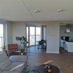 Rent 4 bedroom apartment of 154 m² in 's-Gravenhage